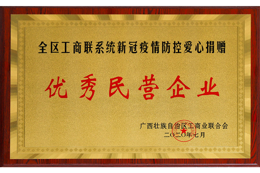 全區(qū)工商聯(lián)系統(tǒng)新冠疫情防控愛心捐贈-優(yōu)秀民營企業(yè)